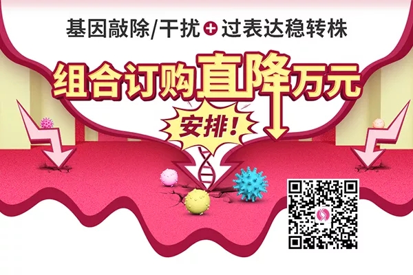 做细胞研究，看大牛的高分文章如何养成