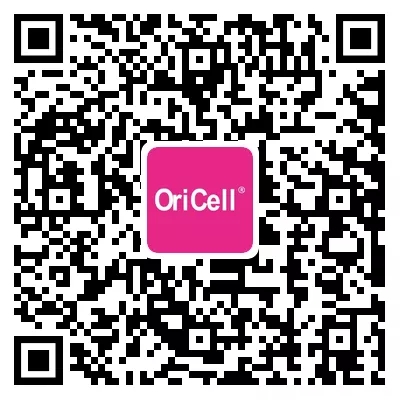 做细胞研究，看大牛的高分文章如何养成