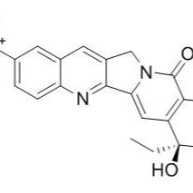 104195-61-1/ 10-硝基喜树碱 ,分析标准品,HPLC≥97%