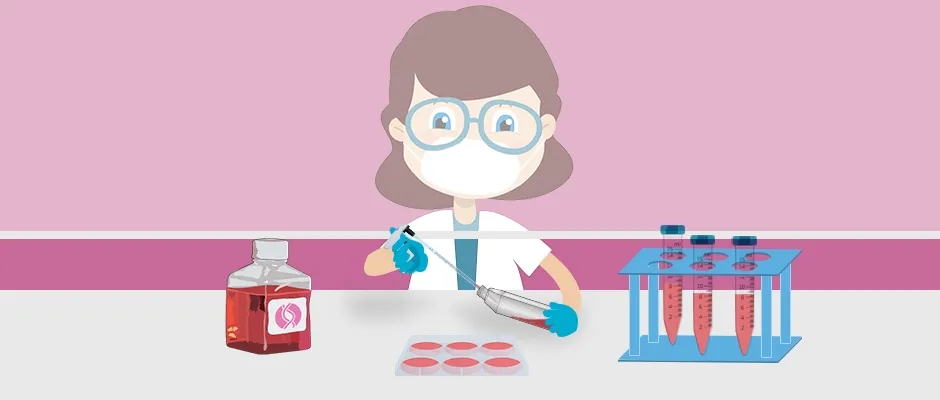 做细胞研究，看大牛的高分文章如何养成