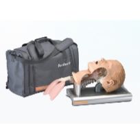 安保 气道管理模型