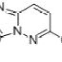 923595-49-7/	 6-氯-3-碘咪唑并[1,2-B]哒嗪 ,	98%+