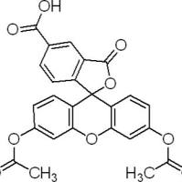 79955-27-4/	 5- 羧基荧光素二乙酸酯 ,	≥95%（HPLC）