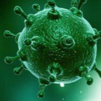 慢病毒春季大促销