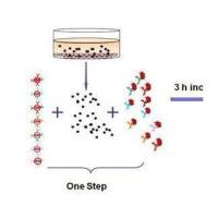 CBA流式多因子检测实验服务