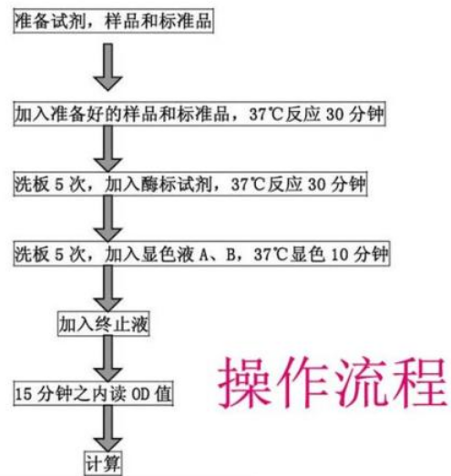 人类免疫缺陷病毒1ELISA检测试剂盒