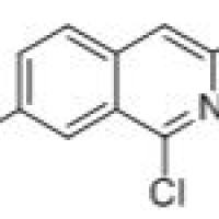 924271-40-9/	 7-溴-1,3-二氯异喹,	97%