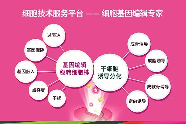 第二届人源肿瘤组织异种移植动物模型（PDX）构建及应用培训班开始报名啦