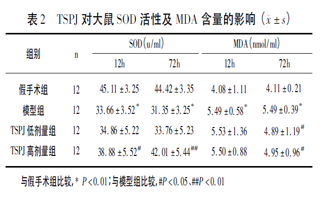 竹节参总皂苷对不同时间段脑出血模型大鼠脑损伤的保护作用