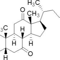 81-23-2/	 去氢胆酸,分析标准品,HPLC≥98.5%