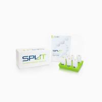 Lexogen SPLIT RNA Extraction