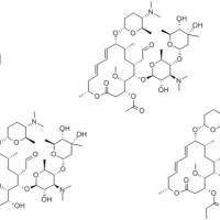 67724-08-7/恩波酸螺旋霉素
