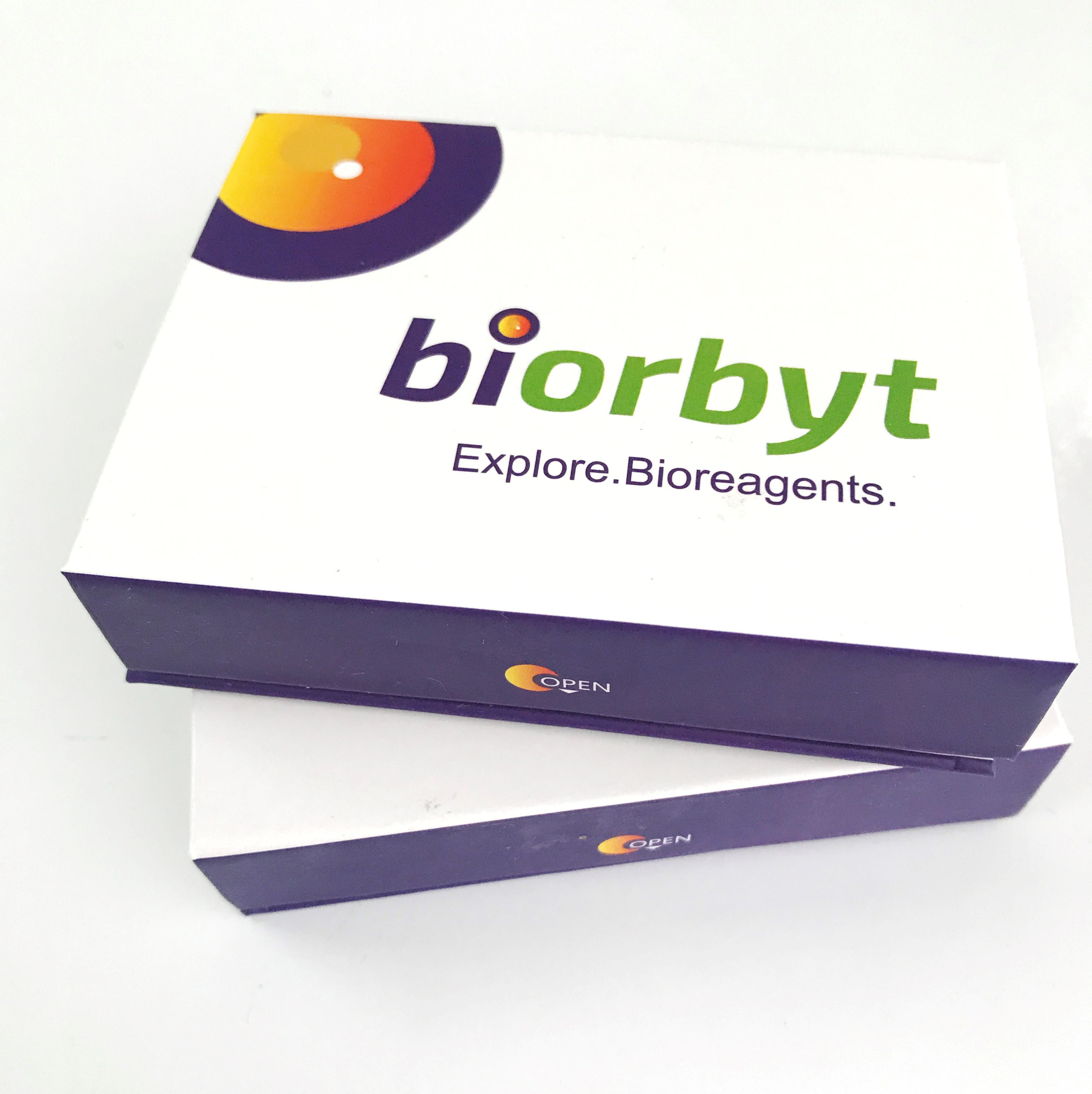 Mouse LIX (74aa) protein,orb651899,Biorbyt