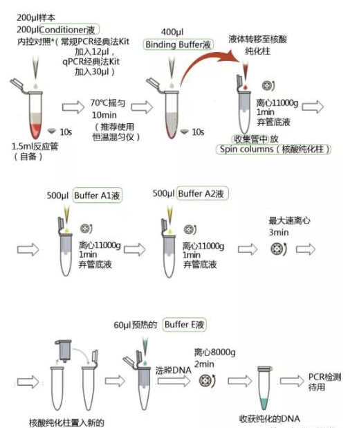 转基因品系大豆G94-1 LAMP试剂盒