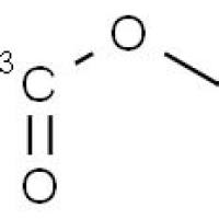 61203-71-2/溴乙乙酯-1-13C