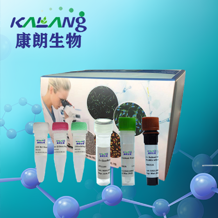 马立克氏病病毒3型染料法荧光定量PCR试剂盒