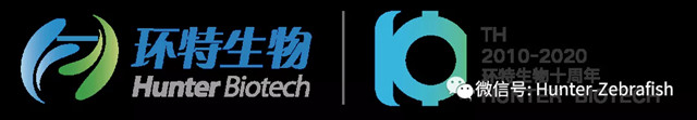 官宣丨环特生物斑马鱼技术产业应用成果获评“国际先进水平”