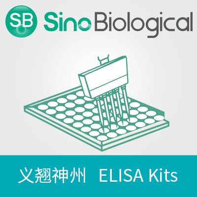 Human CGA/HCG ELISA Kit