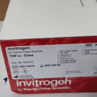 TNF alpha Human ELISA Kit
