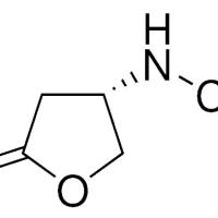 87219-29-2/(S)-5-氧代四呋喃-3-氨基甲酸苄酯 ,	97%