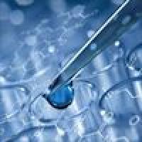 蛋白质水解服务