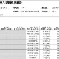 HLA分型检测