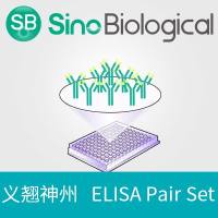 Influenza A H7N9 (A/Shanghai/1/2013) Hemagglutinin / HA ELISA Pair Set