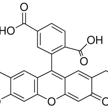 85138-49-4/ 2',7'-二-(2-羧乙基)-5(6)-羧基荧光素,90%