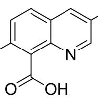 84087-01-4/	 二氯啉酸 ,	≥98%（HPLC）