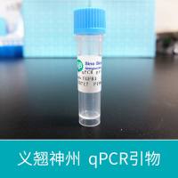 mouse CXCL1 qPCR primer pairs