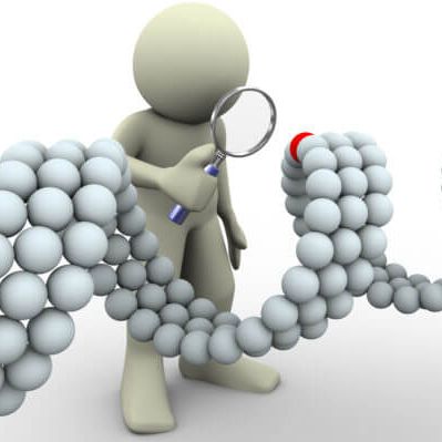 人源细胞系STR鉴定