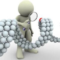 人源细胞系STR鉴定