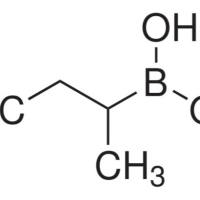 88496-88-2/ 仲丁基硼酸, 95%