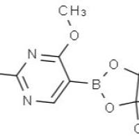 936250-17-8/	 2,4-二甲氧基嘧啶-5-硼酸频哪醇酯 ,	95%
