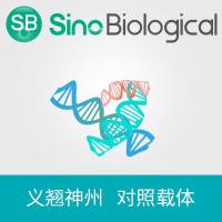 pCMV3-SP-N-His Negative Control Vector (N-terminal His-tagged)