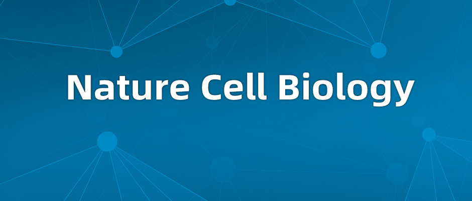 CHAPIR通过m6A甲基化调控心脏肥大的分子机制