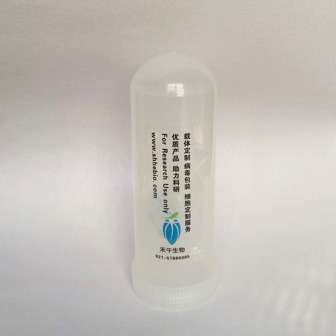 pCMV-SPORT6-PPRC1-2(1点突变)质粒