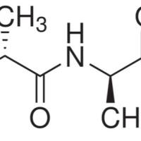 923-16-0/	 D-丙氨酰-D-丙氨酸 ,	99%