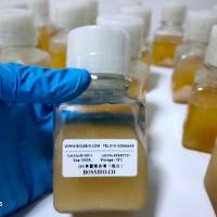 SPF级食蟹猴血清（空白）