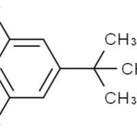 129316-09-2/	 1，3-二溴-5-叔丁基-苯 ,	98%