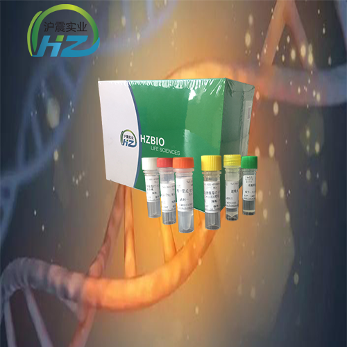 沙眼衣原体探针法荧光定量PCR试剂盒