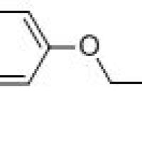75843-50-4/2-(4-叔丁基苯氧基)乙烷