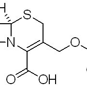 957-68-6/ 7-氨基头孢霉烷酸,98%（T）