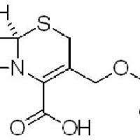 957-68-6/	 7-氨基头孢霉烷酸,	98%（T）