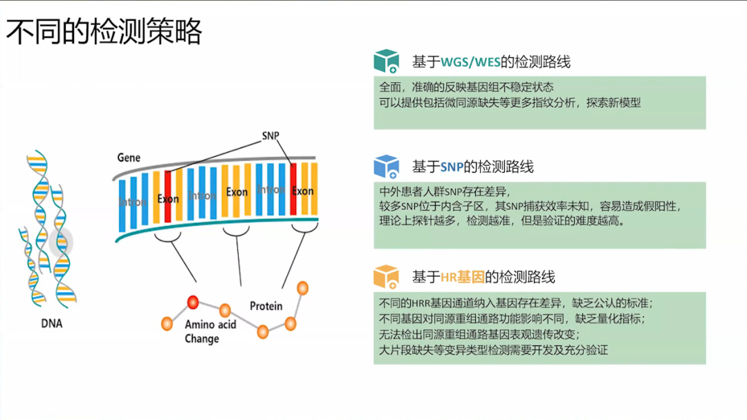 重磅来袭｜菁良基因HRR/HRD标准品开启订购！