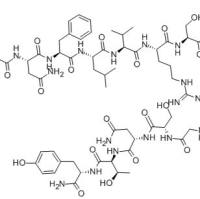 138398-61-5/AMYLIN (8-37) (RAT)