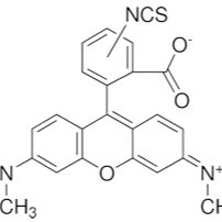 95197-95-8/ 四甲基罗丹明-5(6)-异硫酸酯,用于荧光,异构体混合物