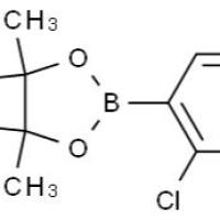1073353-78-2/	 2,3-二氯吡啶-4-硼酸频哪酯,	95%