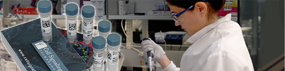 CST年终压轴巨惠，买三赠一，买的越多省的越多！