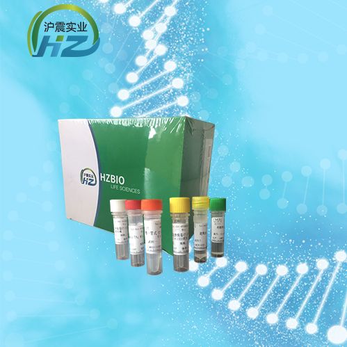 中华枝睾吸虫探针法荧光定量PCR试剂盒